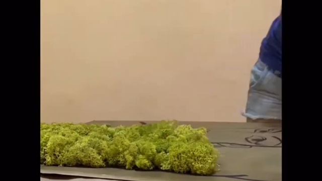 Панно из стабилизированного мха