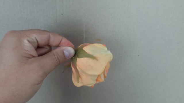 Роза оранжевая - 8см смотреть онлайн