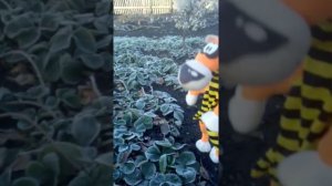 Улетное ВидеО - Тигра Первый снег