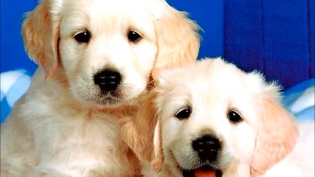 МОЙ КОСМЕТИЧЕСКИЙ БОЙКОТ смотреть онлайн