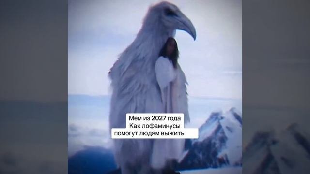 мем 2027 Erosion, Birds
