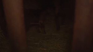 КУПИЛ 2 ДОМА В ДЕРЕВНЕ _ ПРОИЗОШЛО НЕРЕАЛЬНОЕ _ ЧТО ЕЩЁ ЖДАТЬ ОТ НИХ!_