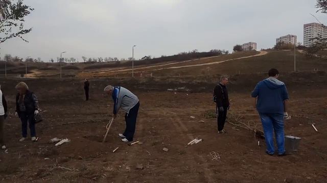 День древонасаждения 2018 ЖК Суворовский! смотреть онлайн