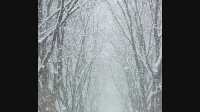 「雪の華」カヴァー　夕凪禅次郎　Epiphone AJ-500RE Zenjiro смотреть онлайн