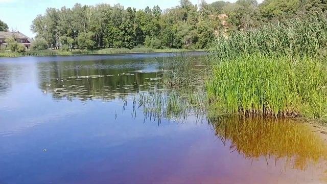 Место для отдыха и рыбалки в Латвии.VLOG#латвия #река#местодлярыбалки#рекасвете