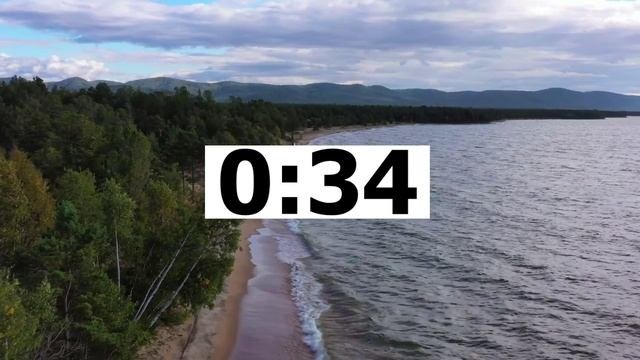 THE ENVIRONMENT (Вербицкая)