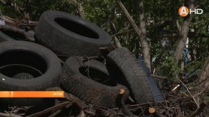 Сенатор Совета Федерации от Мурманской обл Сахарова встретилась председателем областной Думы Дубовы