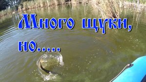 Много щуки, но.....mp4