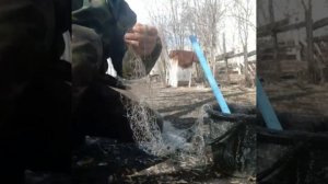 Красим сети для рыбалки.