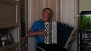 Виктор Гречкин (баян) - Ивушки, вы ивушки (инструментал)