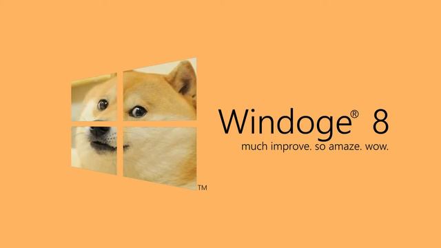 Doge : история мема!