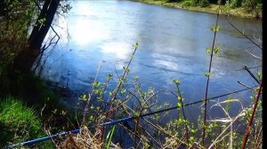 Язь на донку. Рыбалка на реке