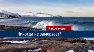 Какое море не замерзает