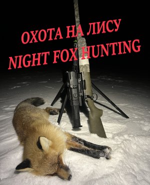 Охота на лису. Охота на приваде.Night fox hunting