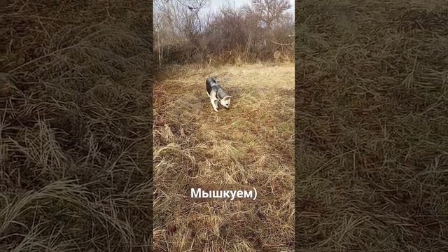 Женька свободна от деток!)