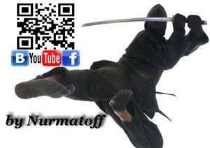 Ninja Ниндзя в СПб #RAMstudio60