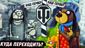 НАЧАЛСЯ ПЕРЕНОС АККАУНТОВ! КУДА ПЕРЕХОДИТЬ? ФАН РЕЖИМ ВАФФЕНТРАГЕР НАСЛЕДИЕ. НОВОСТИ WoT!