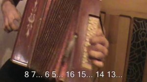 Лизавета с нотами в цифрах для гармони