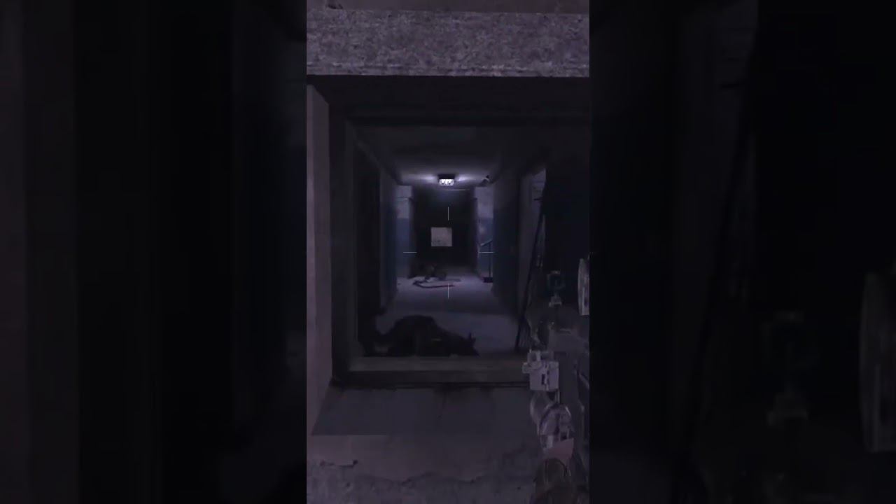 #stalkerclearskyпрохождение #stalkerclearsky #stalker #golovinsa смотреть онлайн