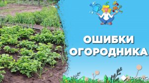 Самые типичные ошибки начинающих дачников
