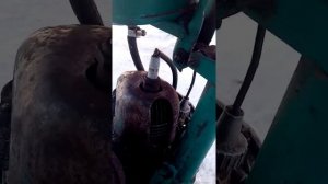Обзор бензопилы дружба 4 электрон