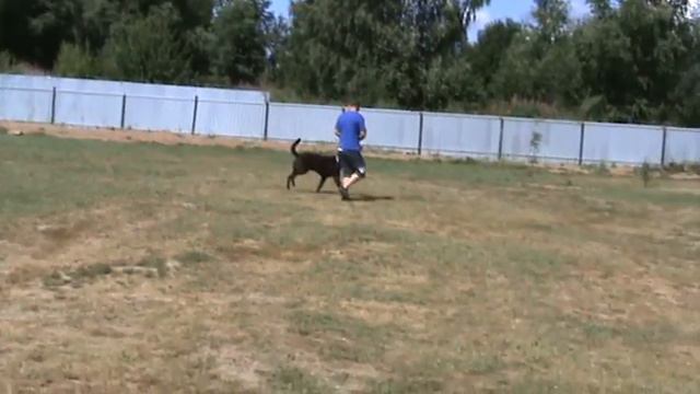 ДЦ *ZооИмперия* г.Ярославль смотреть онлайн