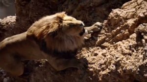 Король лев 2019