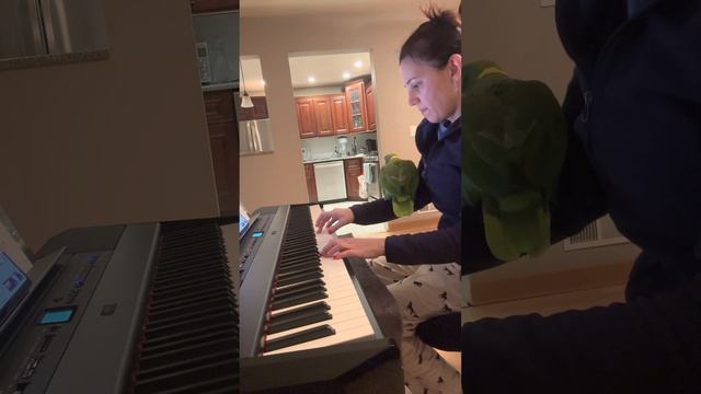 Knockin’ on Heavens Door with Dino the Parrot 🤣🤣🤣 смотреть онлайн