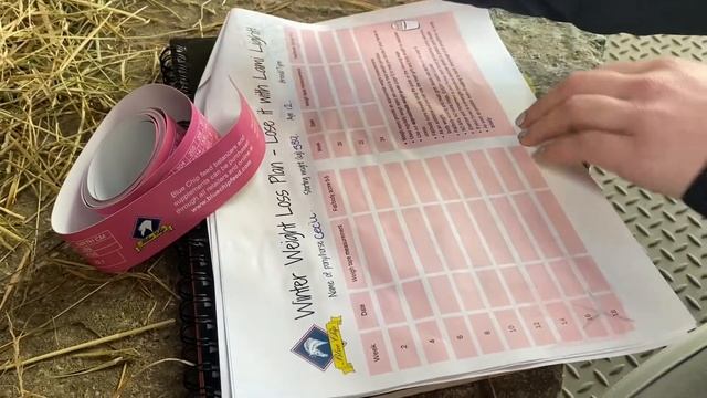 How to use a weigh tape to monitor your horses weight смотреть онлайн