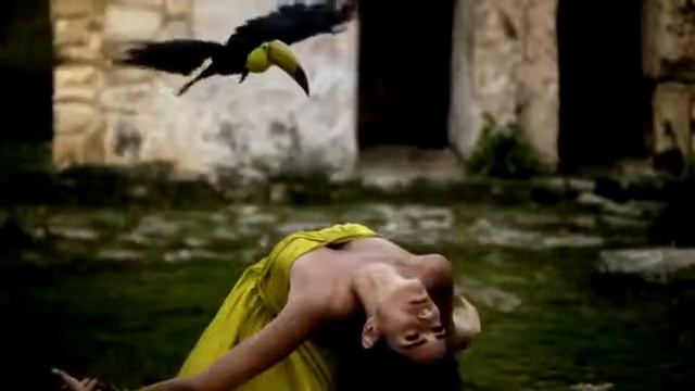 самый красивый видео на свете смотреть онлайн