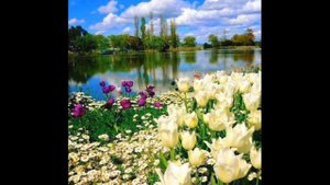 Группа Добрая весть Утро перед восходом