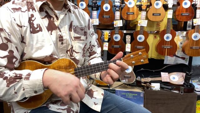 Palm Tree Koa Concert試奏動画