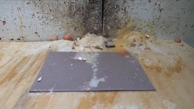 Рис творит чудеса ( Айфон ожил после воды) смотреть онлайн