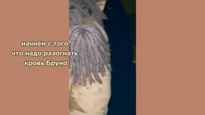 хоббихорсинг? отрабатываю технику "выездка"?