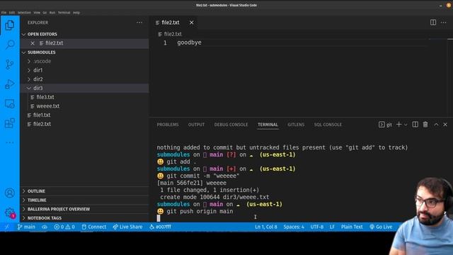 AM Coder - Dealing with Sub-Repos and Misplaced Repos and Github.com (repo fixing)
