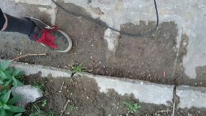 Honda GC135 Generator
