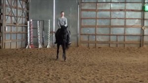 Латышев Андрей. Тренер-берейтор для вас и вашей лошади.