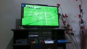 Fifa 14 wii simulacion final copa  intern .de clubes (san lorenzo vs Real Madrid)