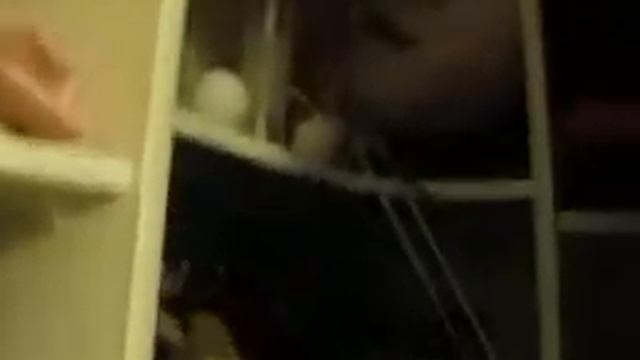 шкаф-купе угловой зеркало заказать в озерске 25т.р. смотреть онлайн