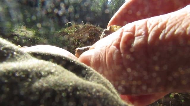 Н.Шайтанский-Столица Уральского Изумруда.Вторая Колумбия. смотреть онлайн