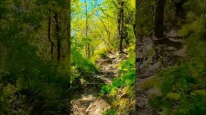 Дорога до скалы Киселёва пешком. Туапсе, Туапсинский район, Краснодарский край.