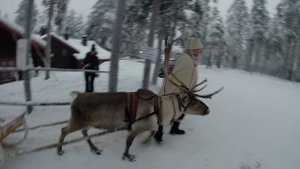 Лапландия 2014-15