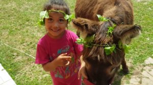 МОЯ МЛАДШАЯ ДОЧЕНЬКА КАТЯ