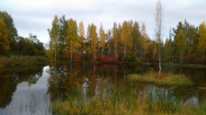 Щеглово Ленинградская область.