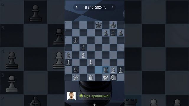 15. Chess quests #shorts