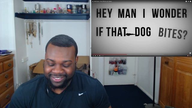 Seth Sentry - Run | Reaction смотреть онлайн