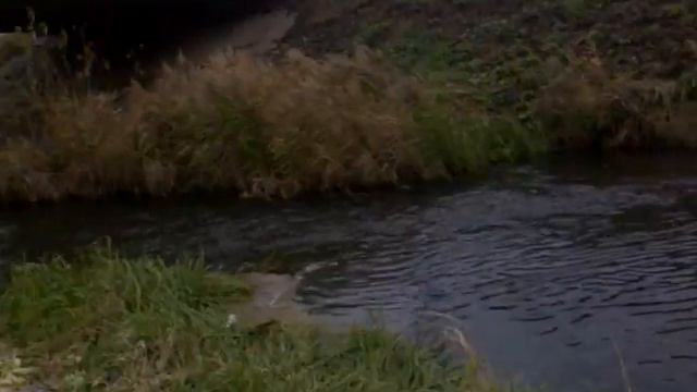 Tuskar (area Dobrolyubova) смотреть онлайн