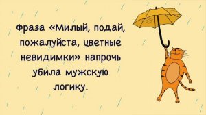 Смешные цитаты и афоризмы/Цитаты для поднятия настроения