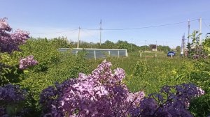 Дачный земельный участок, под постройку.