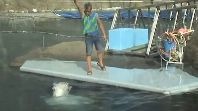 Матвей в зоопарке 2012 год смотреть онлайн